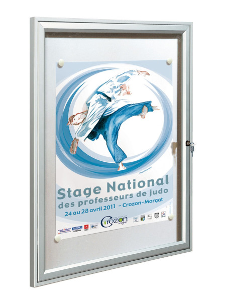 Vitrine référence peint 400x550