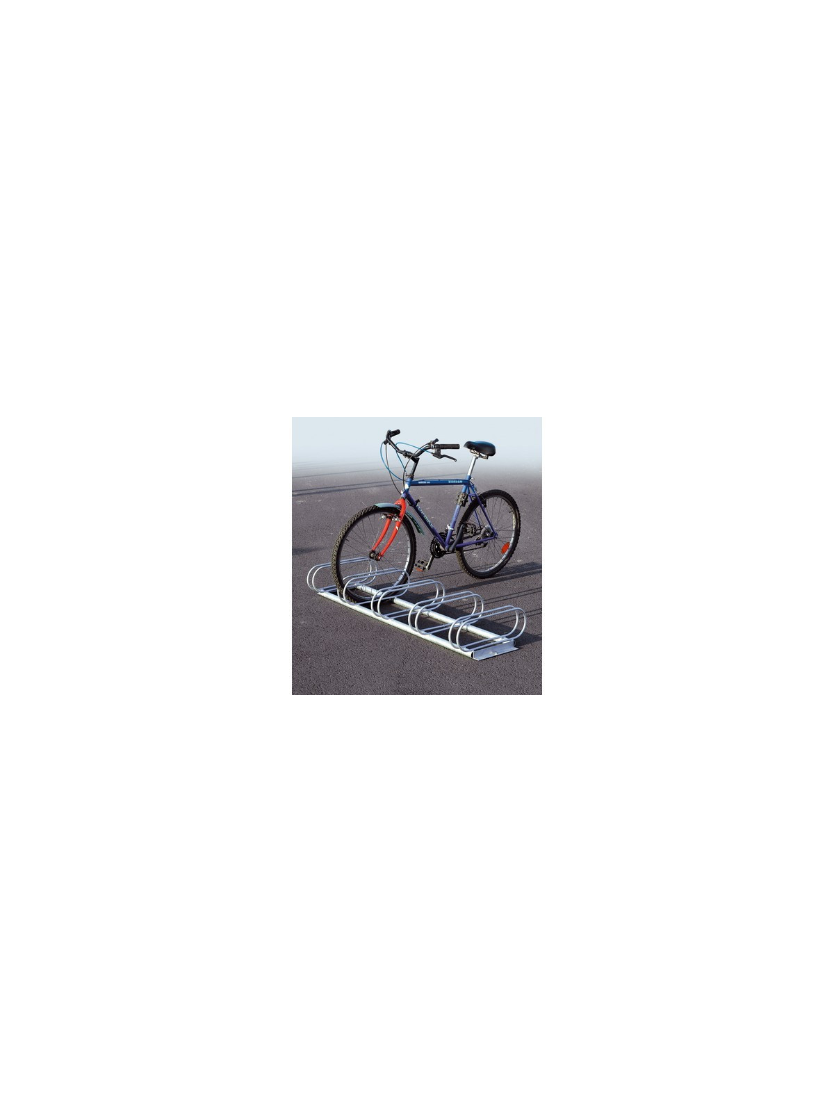 Support cycles 5 places Eco